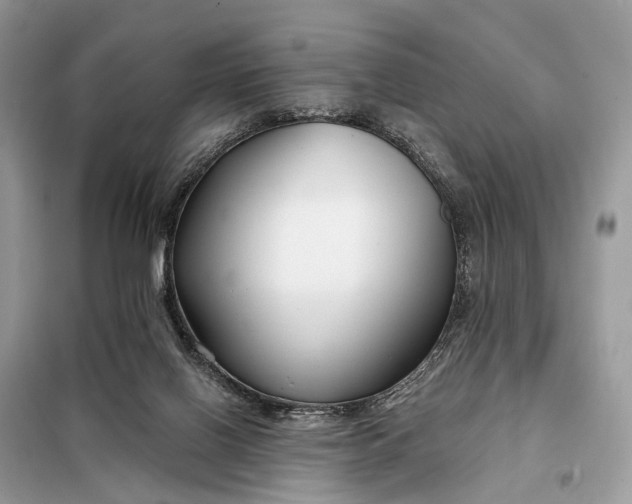 X0000098210070200805081144