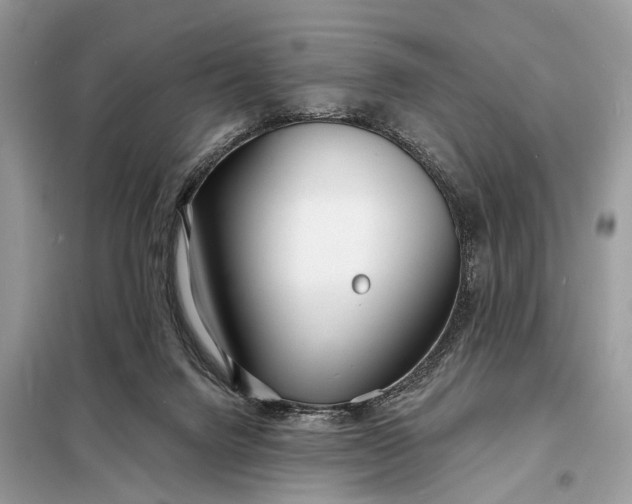 X0000098210072200805081144