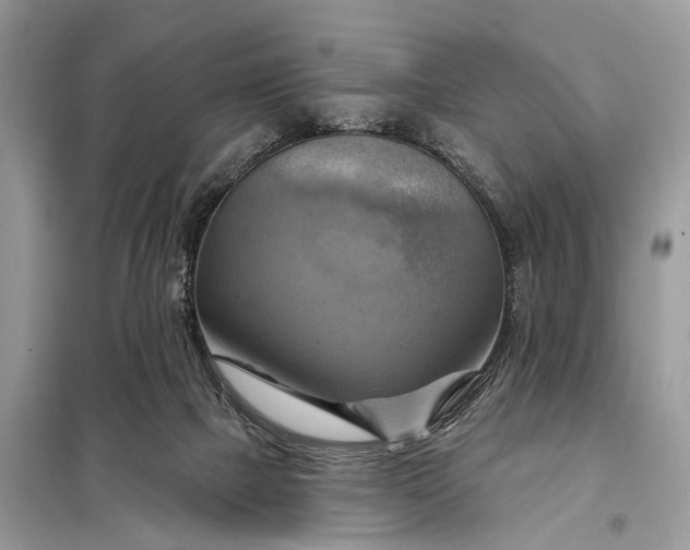 X0000098210073200805081144