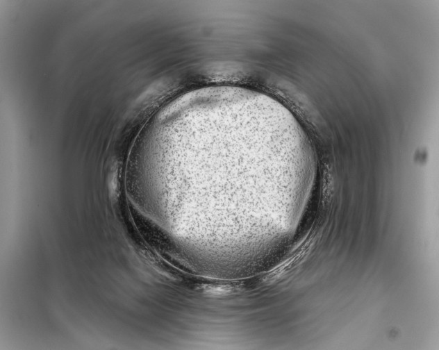 X0000098210074200805081144