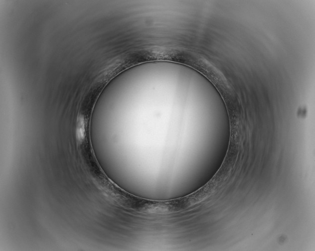 X0000098210075200805081144