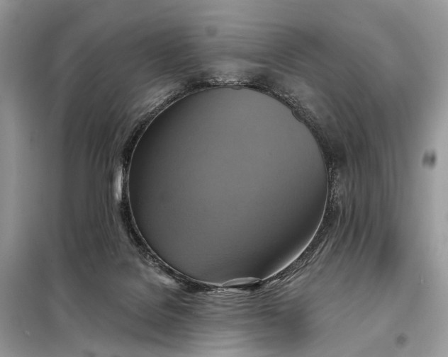 X0000098210076200805081144