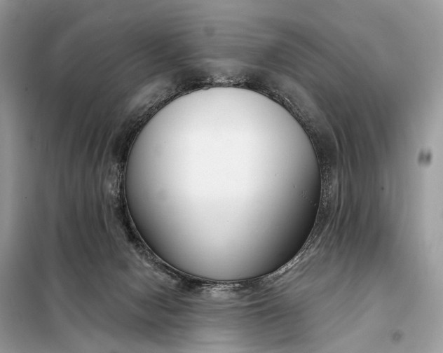 X0000098210078200805081144