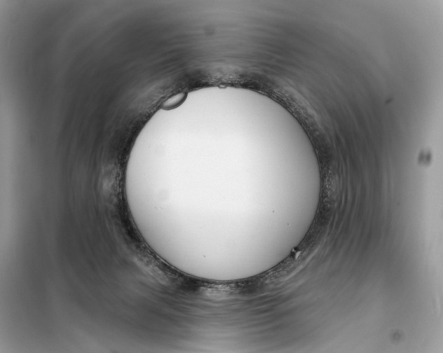 X0000098210079200805081144