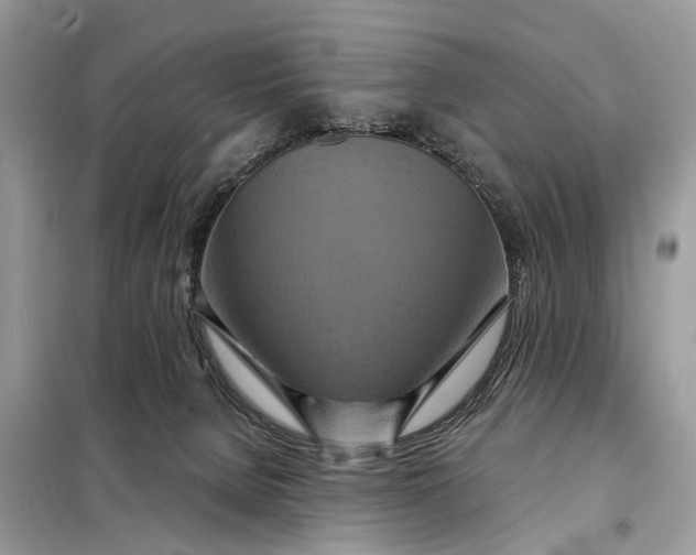 X0000098210080200805081144