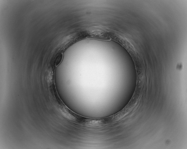 X0000098210081200805081144