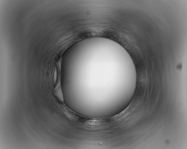X0000098210082200805081144