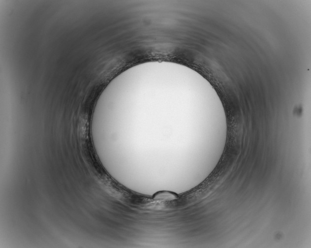 X0000098210083200805081144