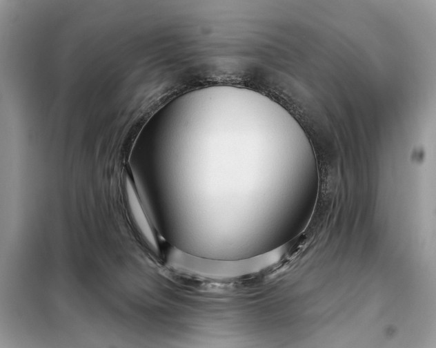 X0000098210084200805081144