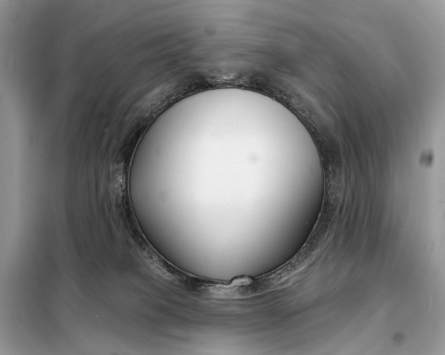 X0000098210085200805081144