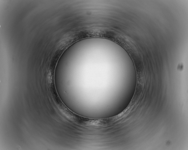X0000098210086200805081144