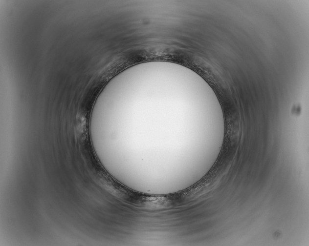 X0000098210087200805081144