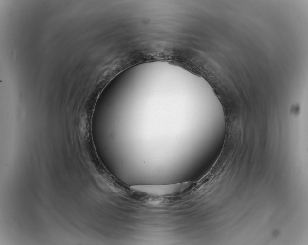 X0000098210088200805081144