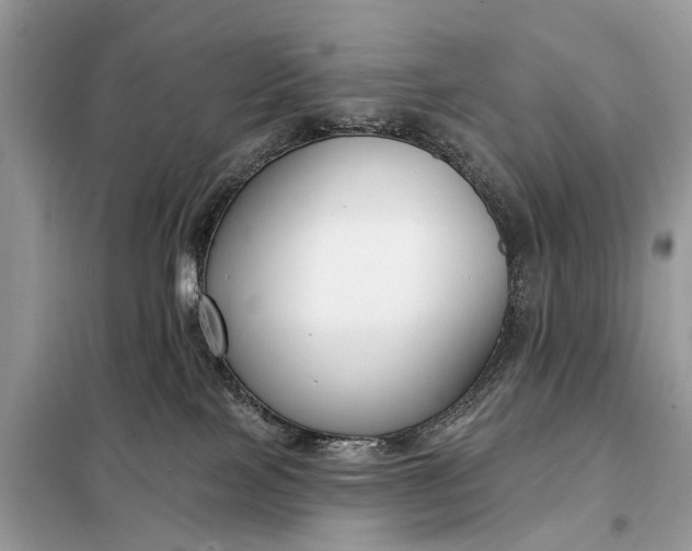 X0000098210089200805081144