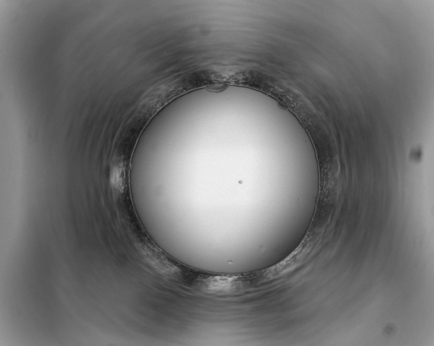 X0000098210090200805081144