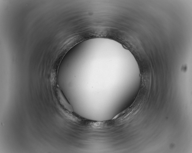 X0000098210092200805081144