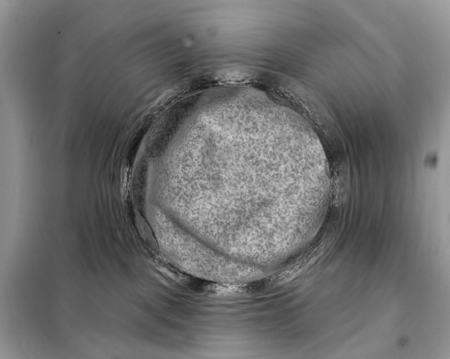 X0000098210093200805081144