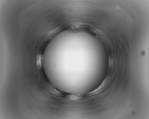X0000098210094200805081145