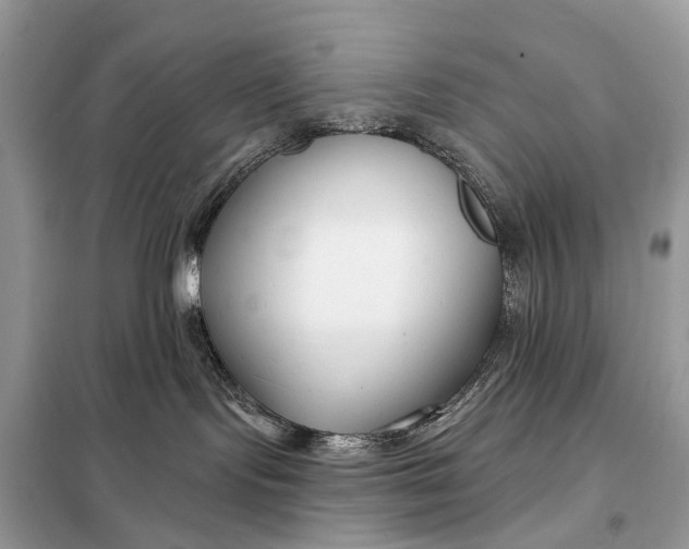 X0000098210095200805081145