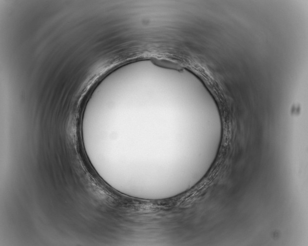 X0000098210098200805081144