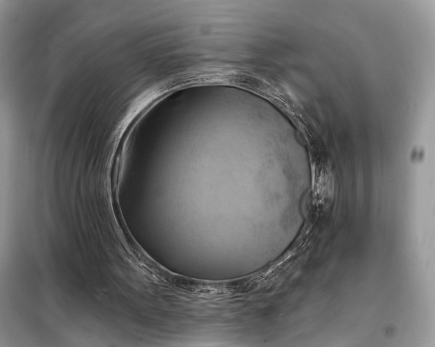 X0000098210099200805081144