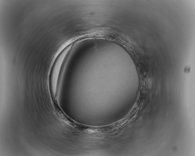 X0000098210100200805081144