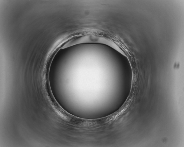 X0000098210101200805081144
