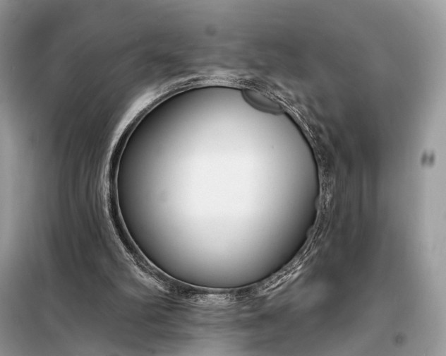X0000098210102200805081144
