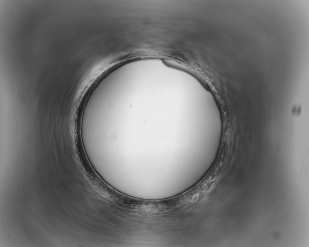 X0000098210103200805081144