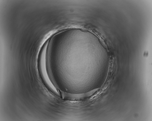 X0000098210104200805081144