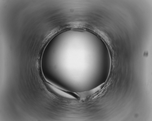 X0000098210105200805081144