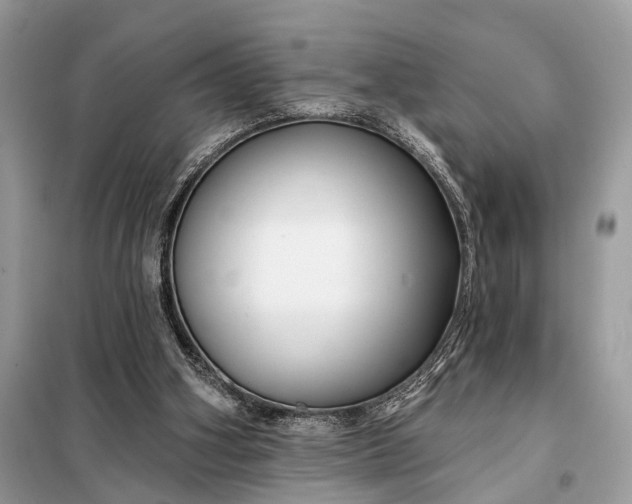 X0000098210106200805081144