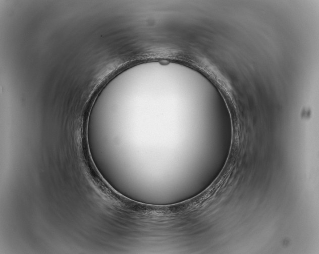 X0000098210107200805081144