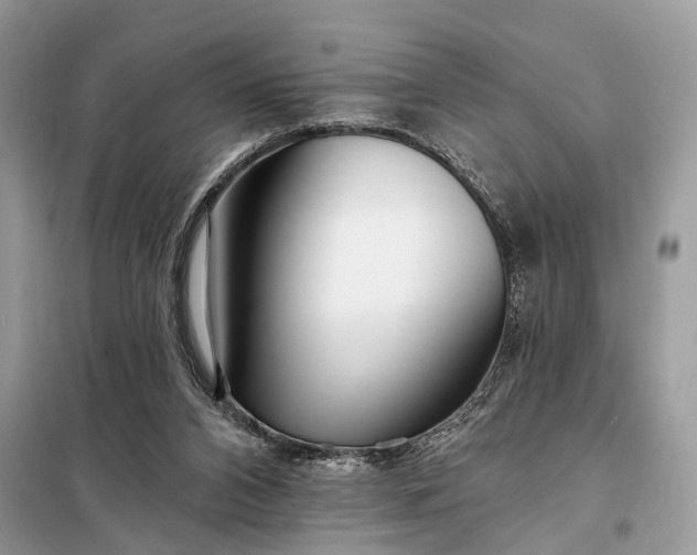 X0000098210112200805081143