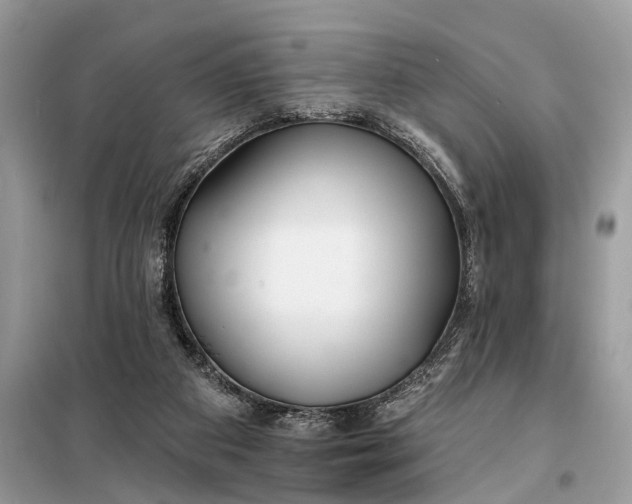 X0000098210113200805081143