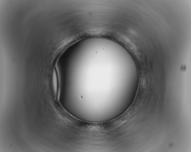 X0000098210115200805081143