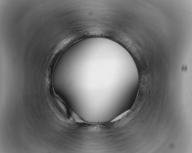 X0000098210116200805081143
