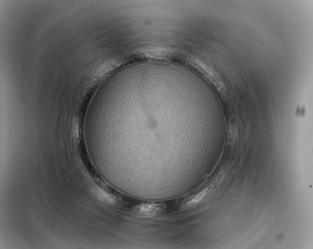 X0000098210117200805081143