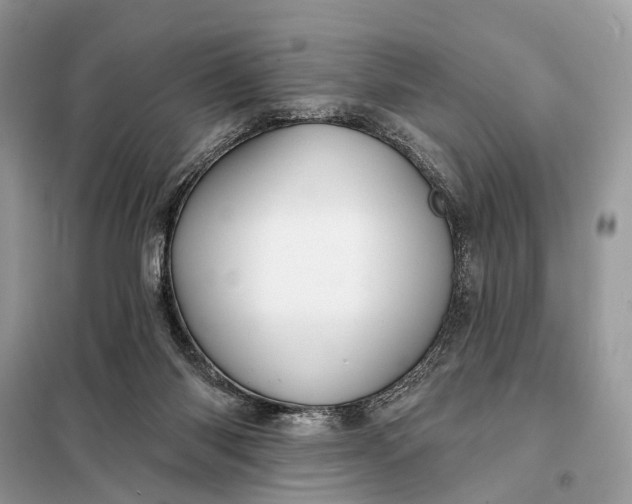 X0000098210118200805081143