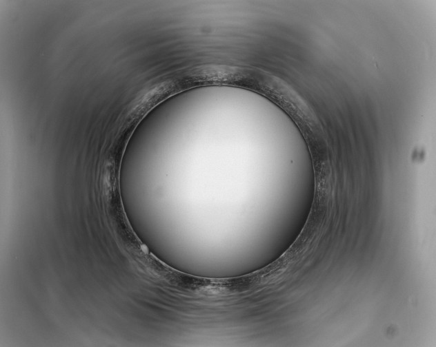 X0000098210119200805081143