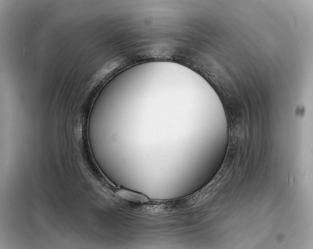 X0000098210120200805081143