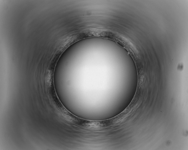 X0000098210121200805081143