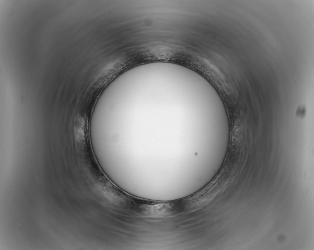 X0000098210122200805081143