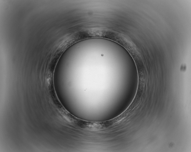 X0000098210125200805081143