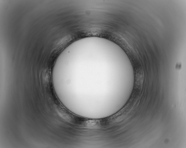 X0000098210126200805081143