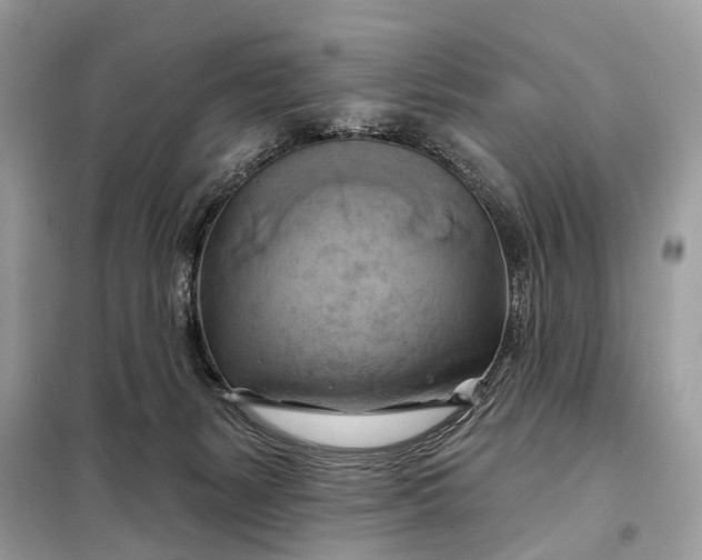 X0000098210127200805081143