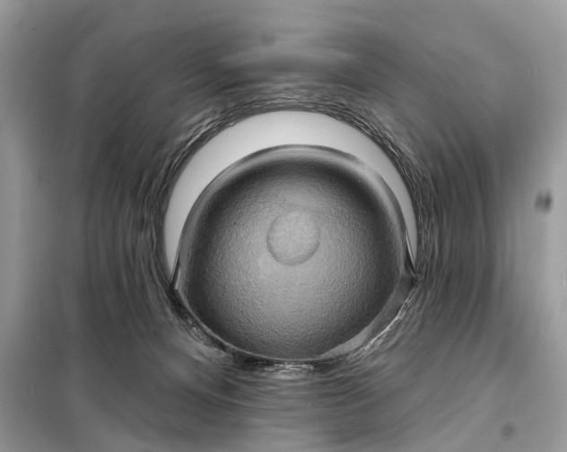 X0000098210128200805081143