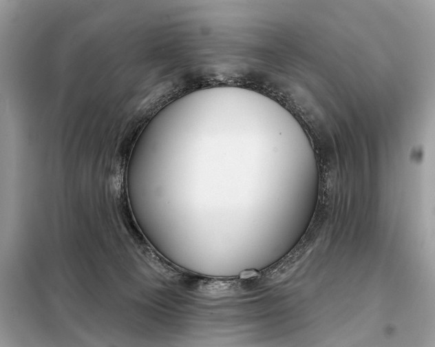 X0000098210129200805081143