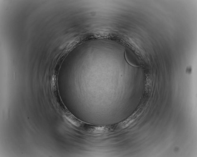 X0000098210130200805081143