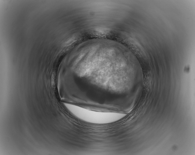 X0000098210131200805081143